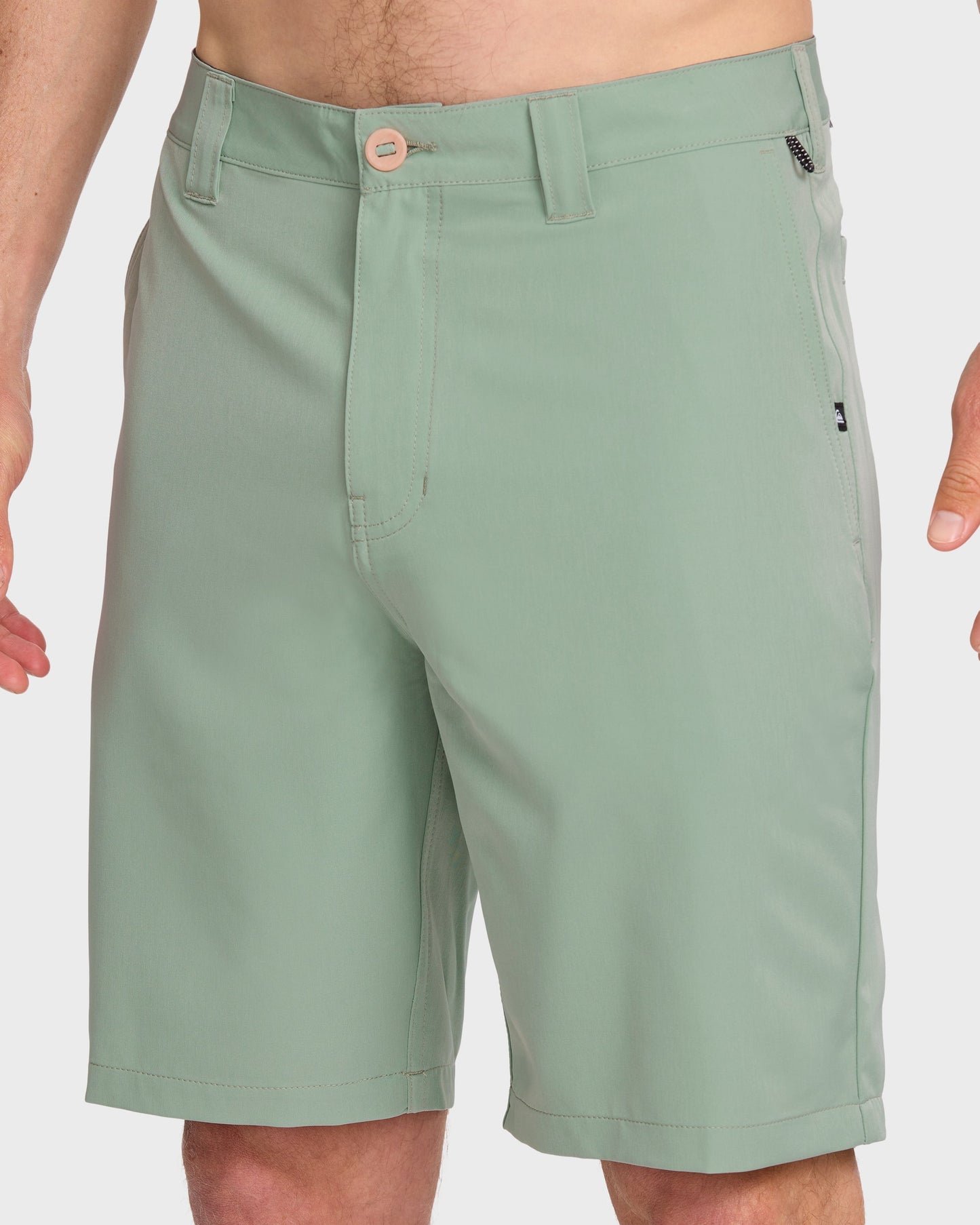 Union Amphibian 20" Hybrid Shorts - Herb Quick Silver Herb