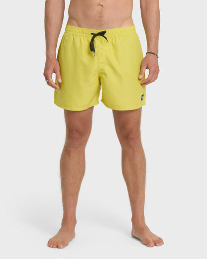 Everyday Solid 17" Swim Trunks - Acacia Quick Silver Acacia