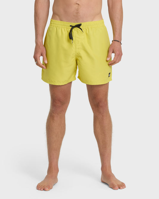 Everyday Solid 17" Swim Trunks - Acacia Quick Silver Acacia