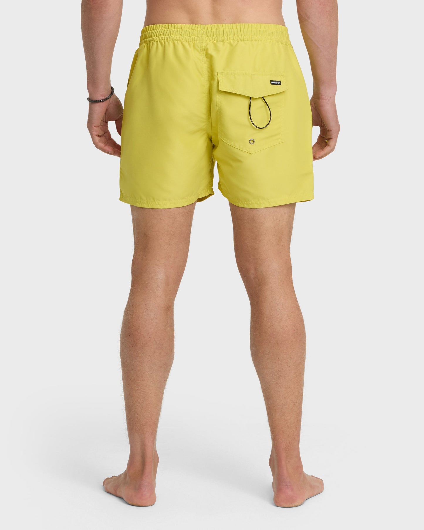 Everyday Solid 17" Swim Trunks - Acacia Quick Silver Acacia