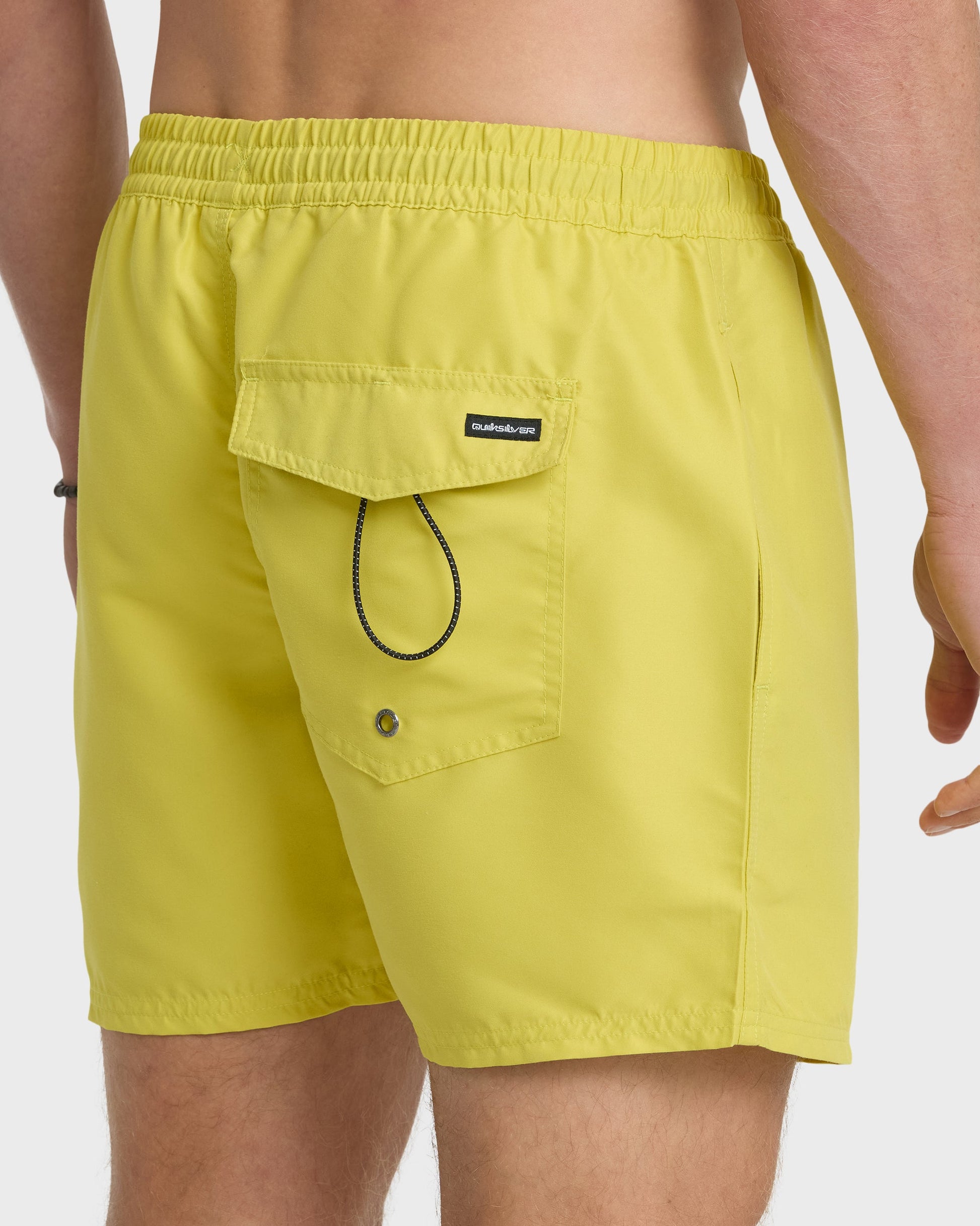Everyday Solid 17" Swim Trunks - Acacia Quick Silver Acacia