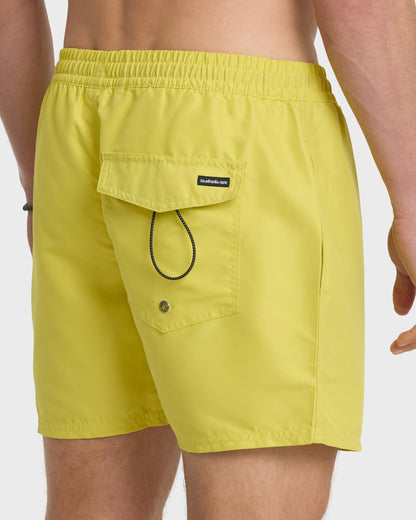 Everyday Solid 17" Swim Trunks - Acacia Quick Silver Acacia
