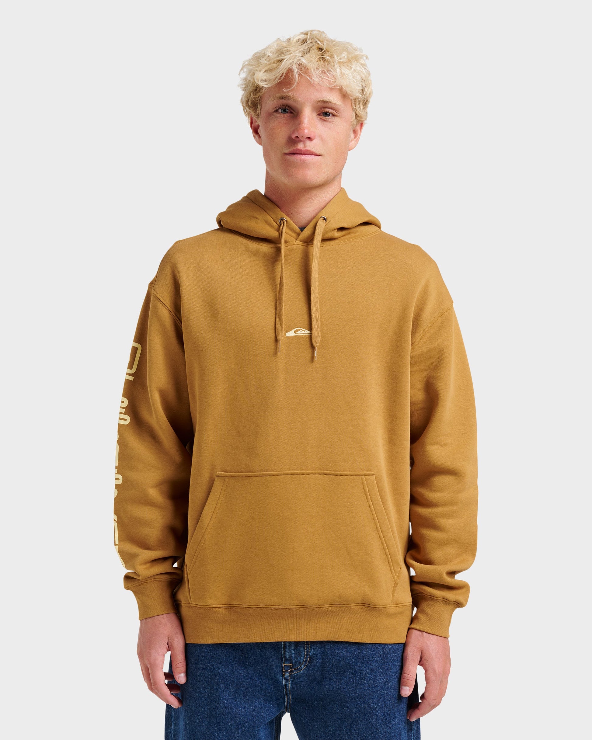 Passage Logo Hoodie - Wood Thrush Quick Silver Wood Thrush