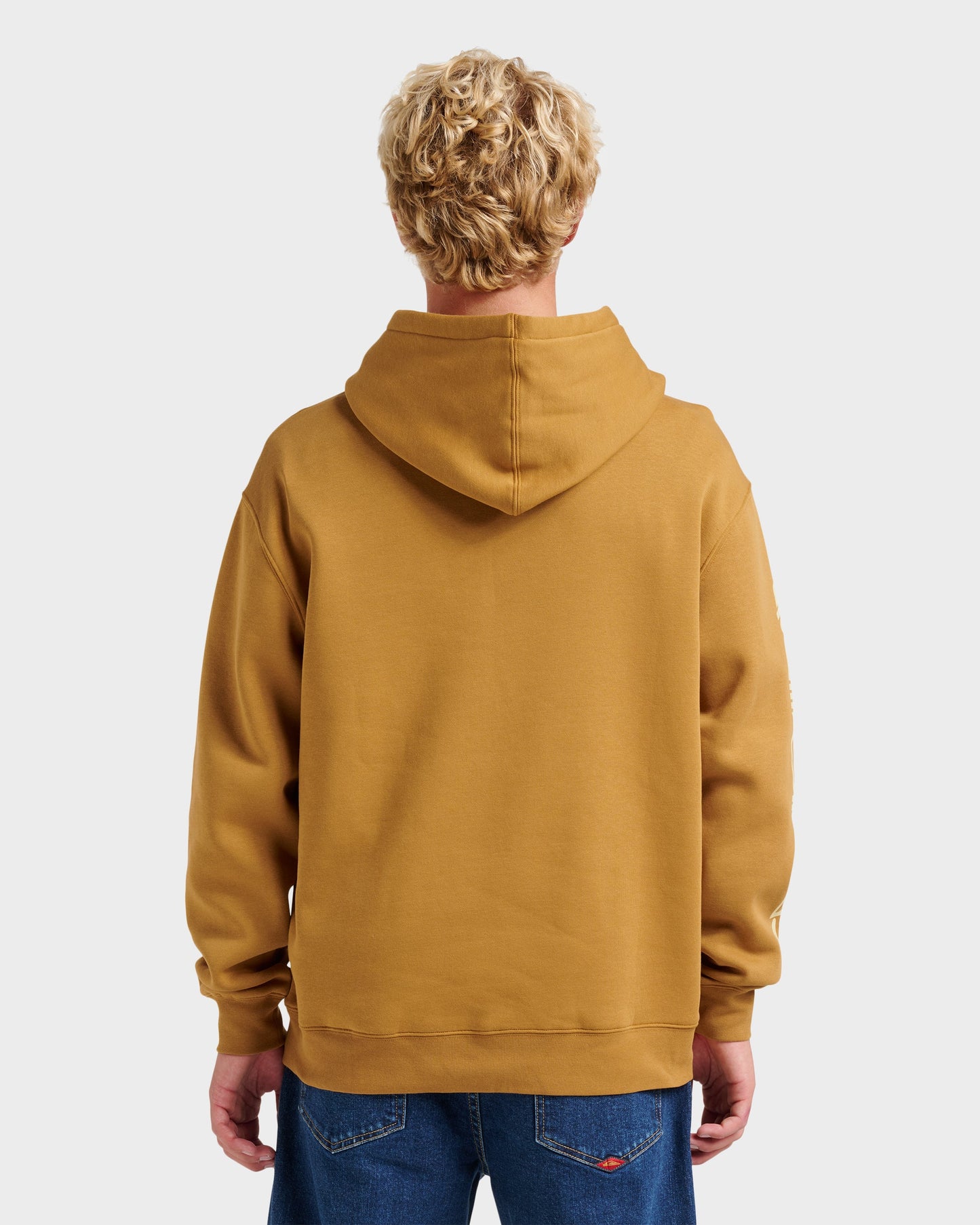 Passage Logo Hoodie - Wood Thrush Quick Silver Wood Thrush