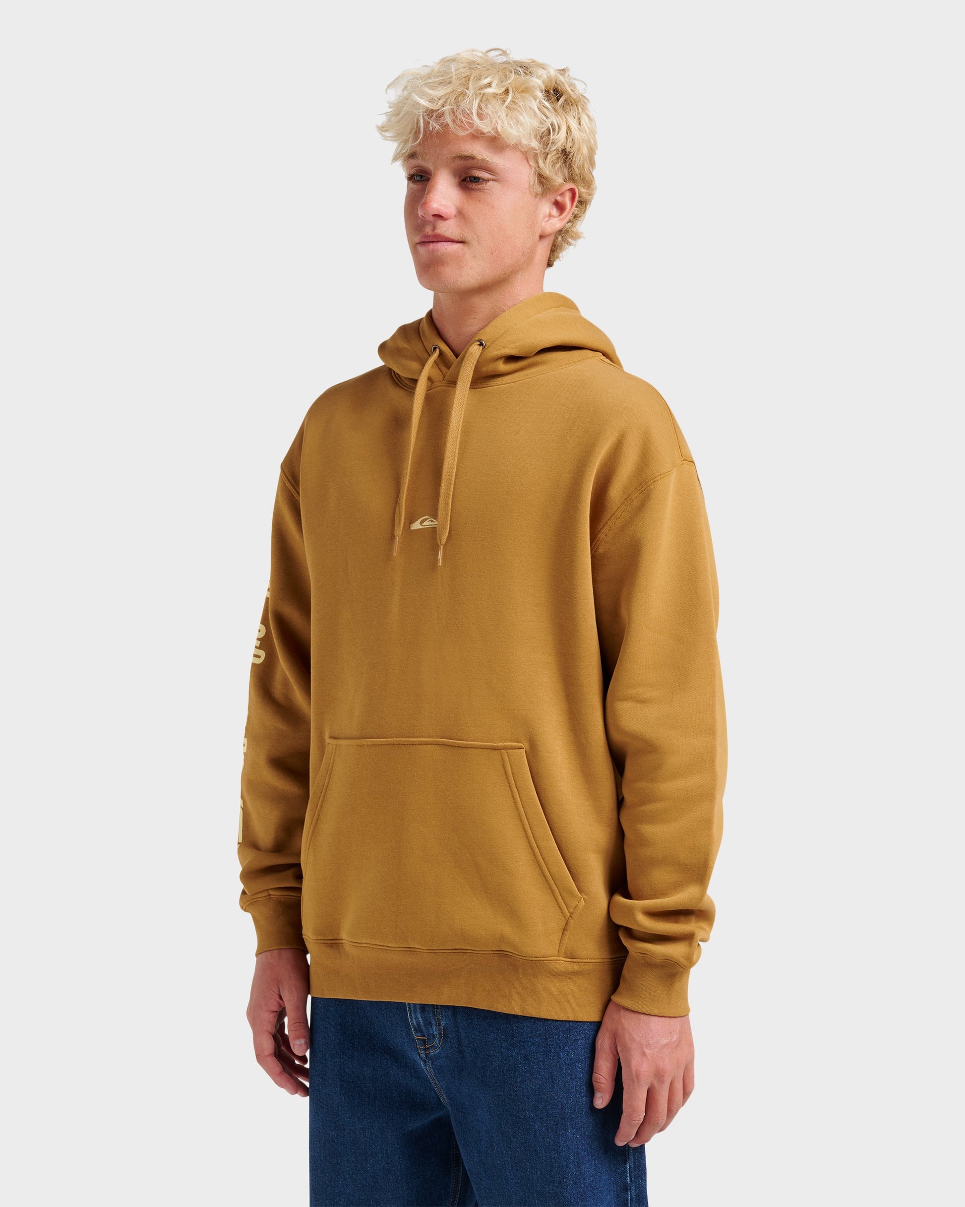 Passage Logo Hoodie - Wood Thrush Quick Silver Wood Thrush