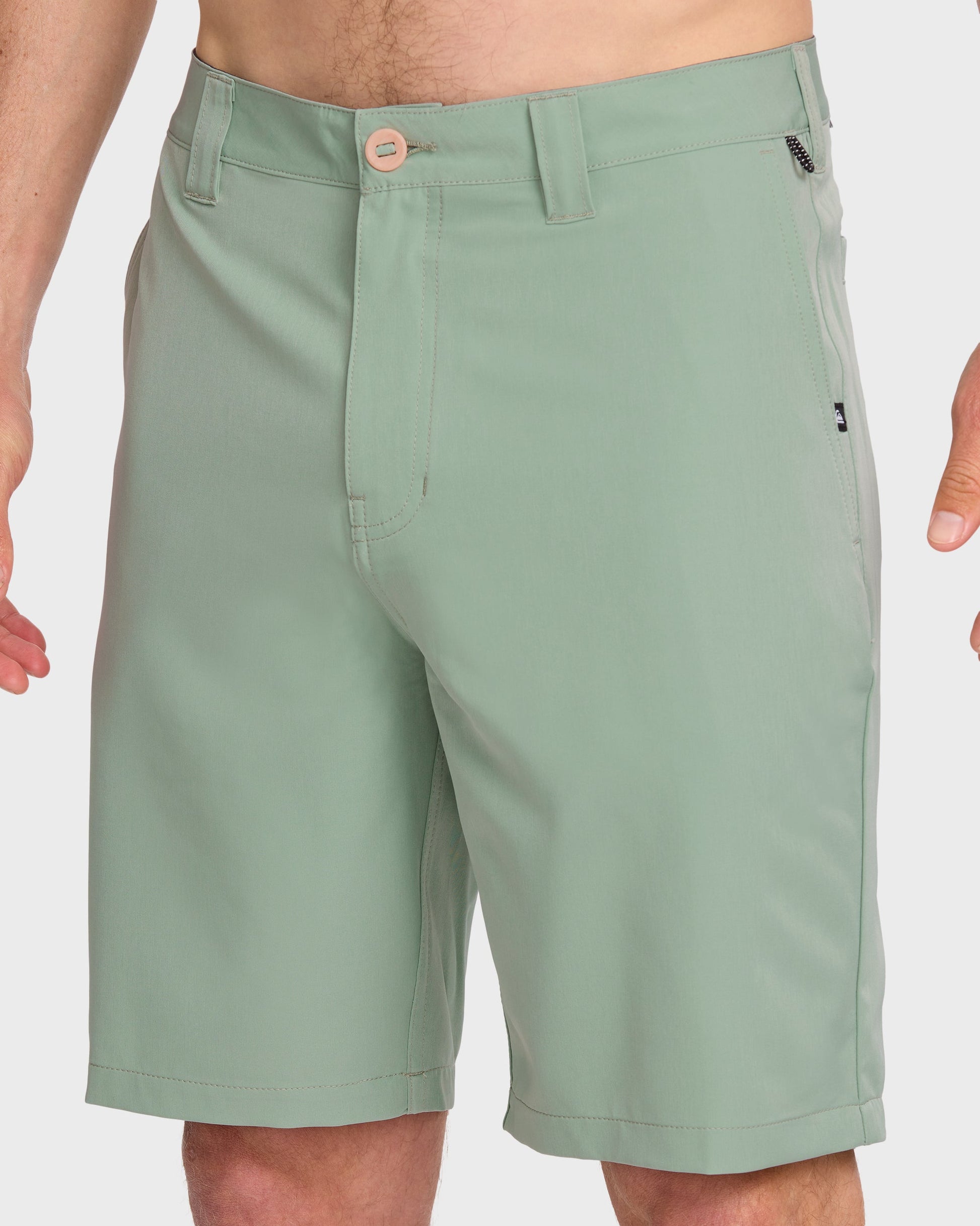 Union Amphibian 20" Hybrid Shorts - Herb Quick Silver Herb