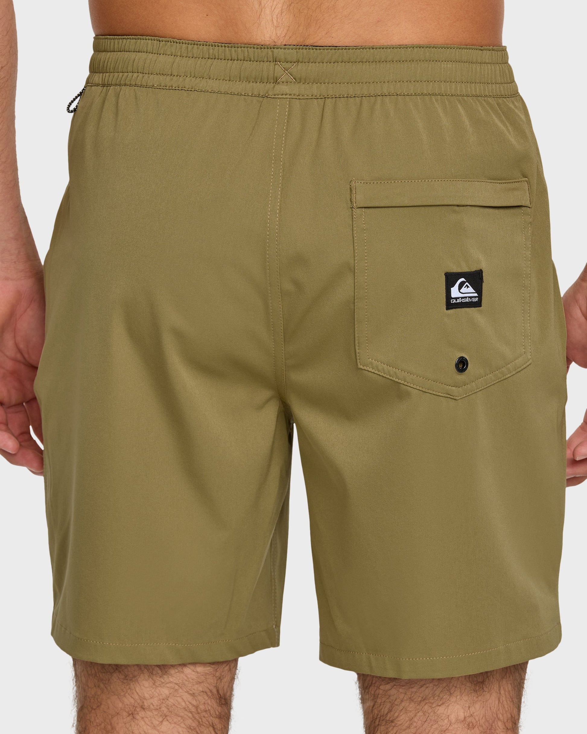 Taxer Amphibian 18" Hybrid Shorts - Aloe Quick Silver Aloe