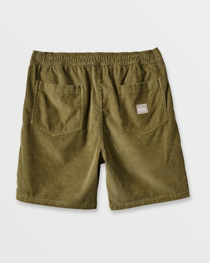 Taxer Corduroy Shorts - Aloe Quick Silver Aloe