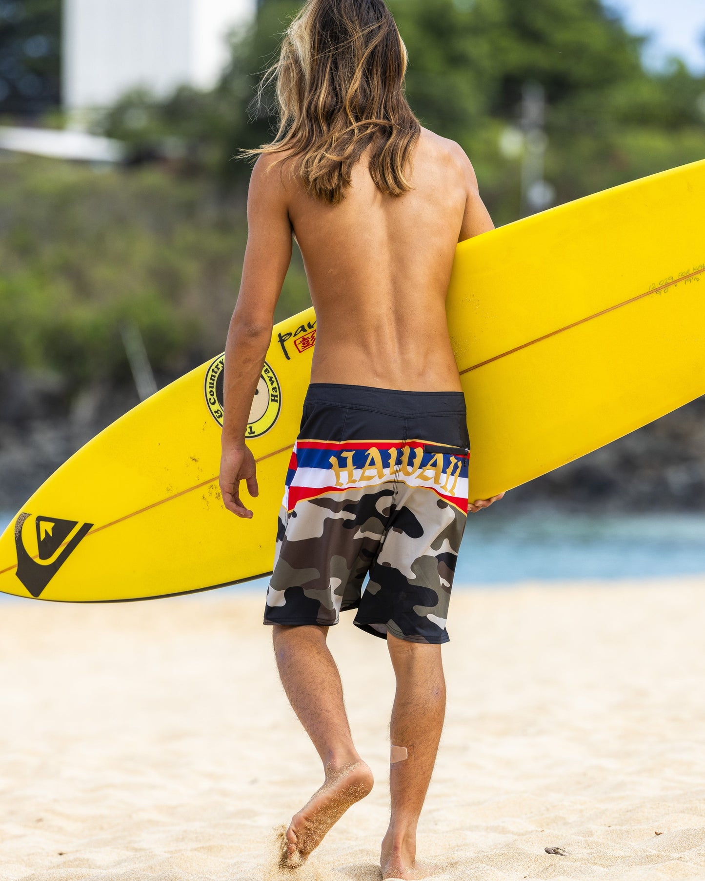 Hi Panel 20" Boardshorts - Grape Leaf Quick Silver Grape Leaf