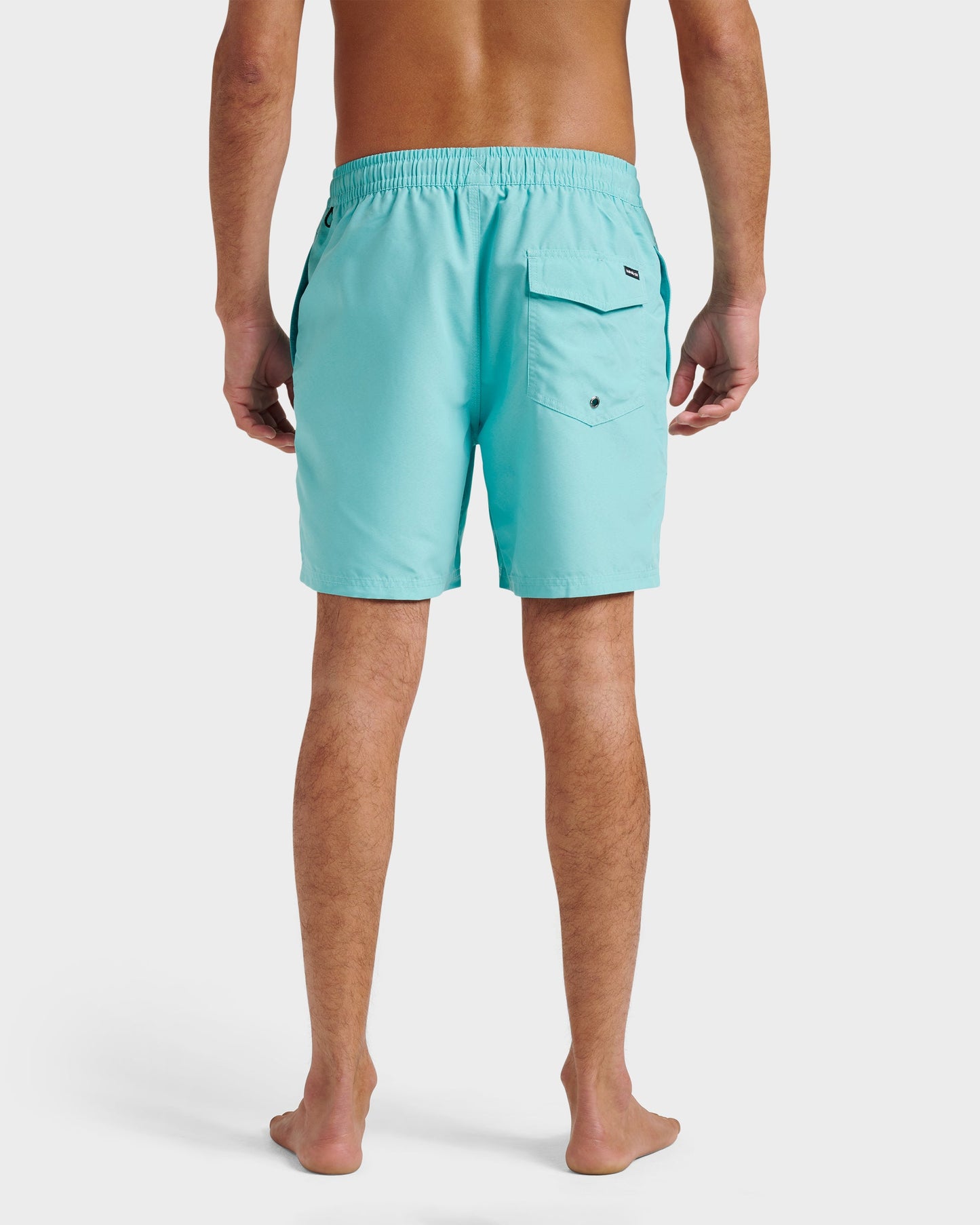 Everyday Solid 17" Swim Trunks - Aqua Sky Quick Silver Aqua Sky