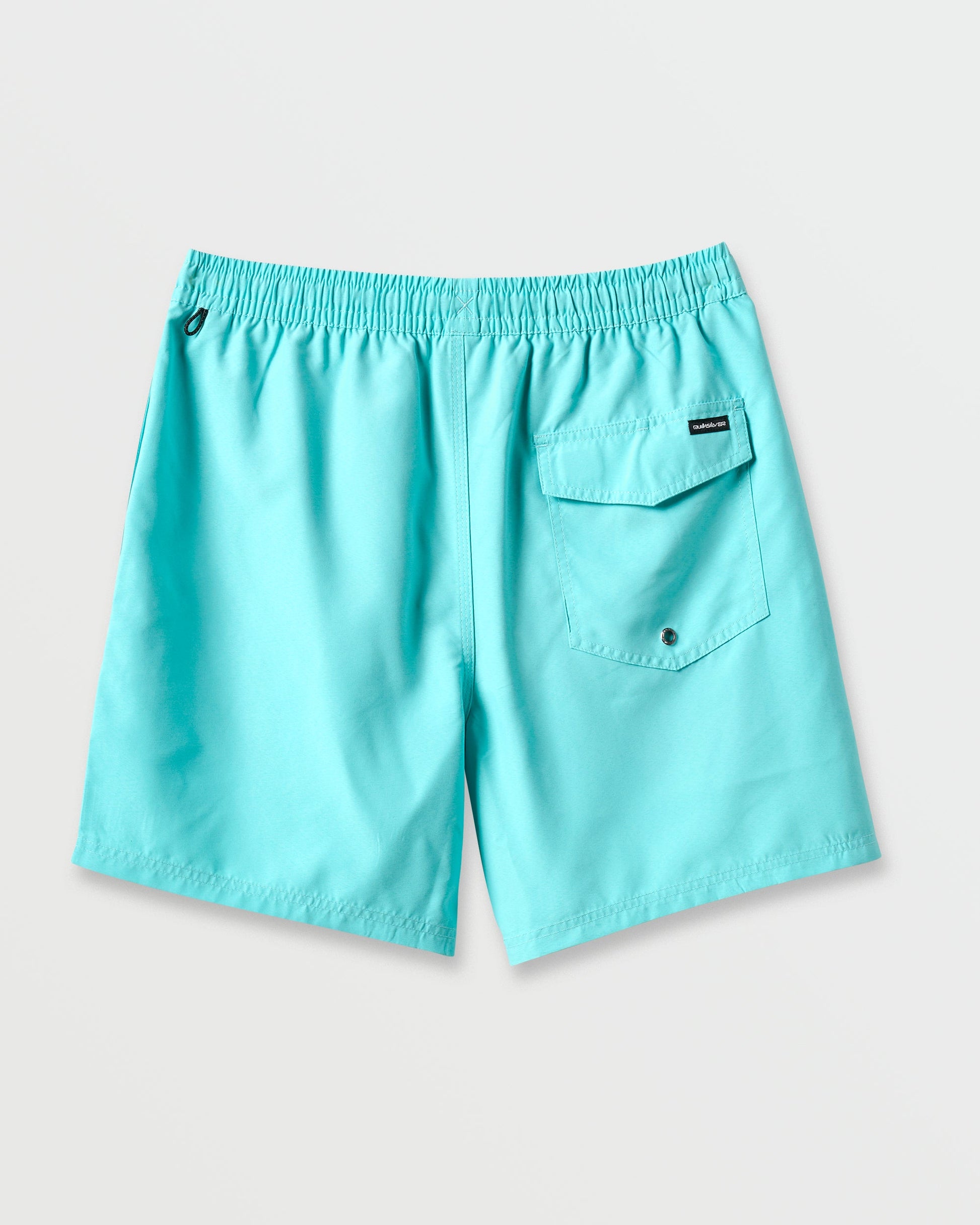 Everyday Solid 17" Swim Trunks - Aqua Sky Quick Silver Aqua Sky