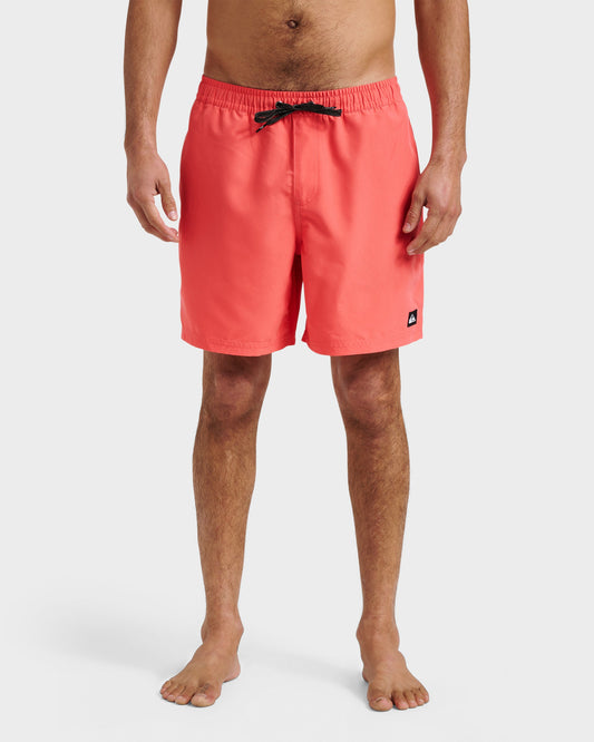 Everyday Solid 17" Swim Trunks - Dubarry Quick Silver Dubarry