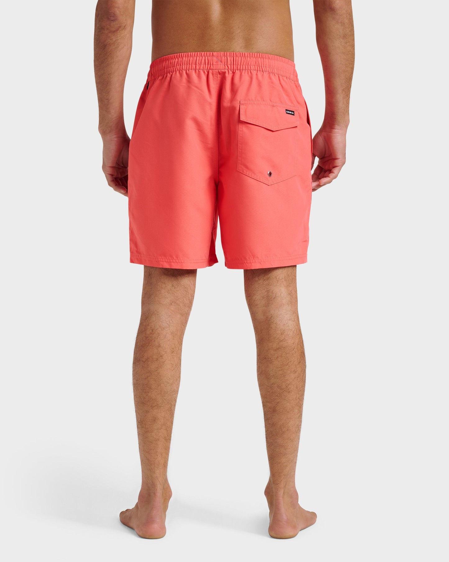 Everyday Solid 17" Swim Trunks - Dubarry Quick Silver Dubarry
