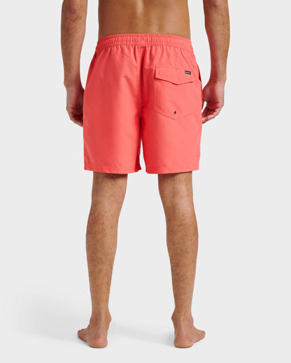 Everyday Solid 17" Swim Trunks - Dubarry Quick Silver Dubarry