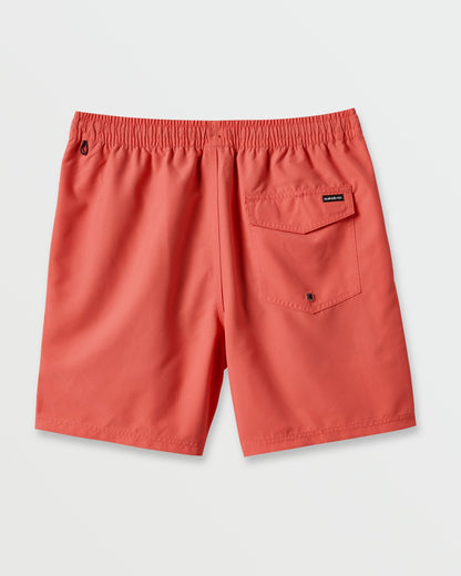 Everyday Solid 17" Swim Trunks - Dubarry Quick Silver Dubarry
