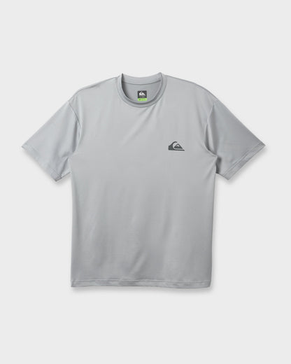 Everyday Short Sleeve Surf Tee - Smokedgray Quick Silver Smokedgray